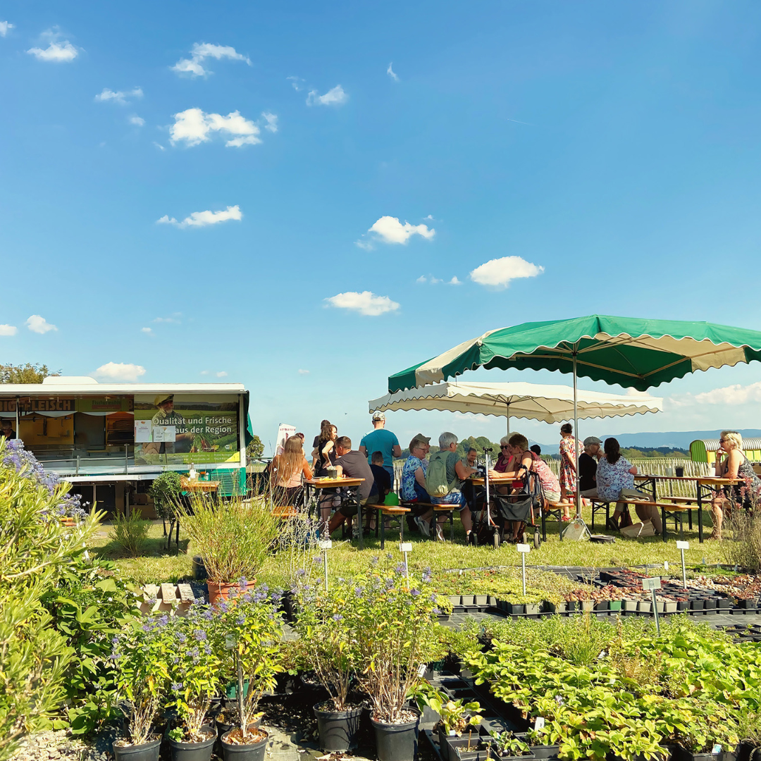 Kulinarik und Kultur