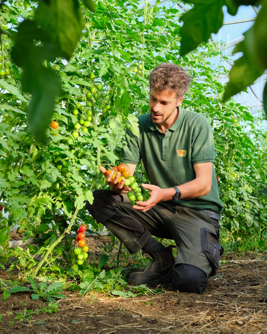 Selbsternte bei b2 / Mo bis Sa